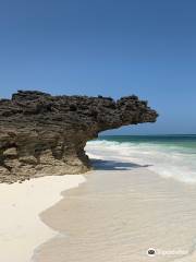 Spiaggia delle Tartarughe