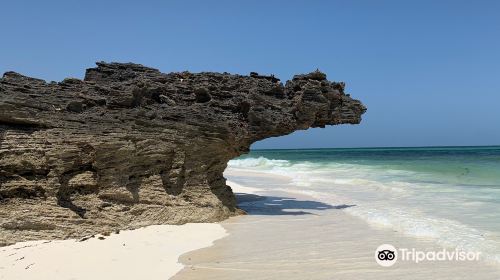 Spiaggia delle Tartarughe