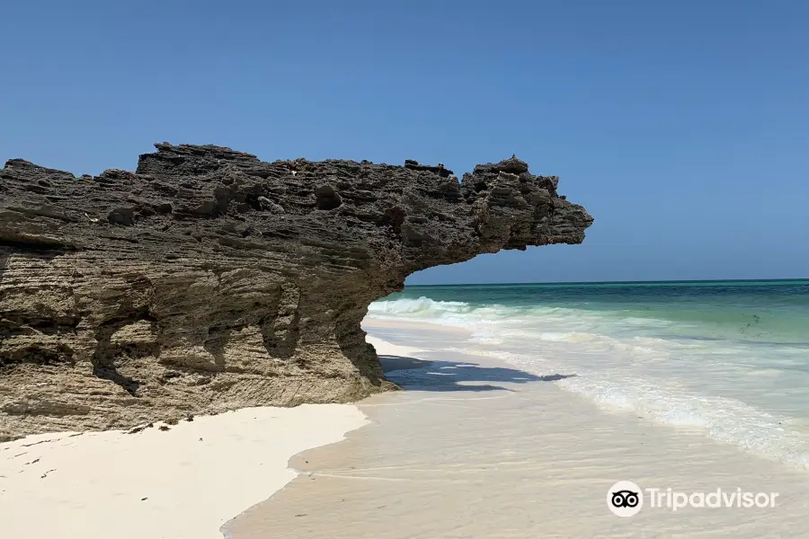 Spiaggia delle Tartarughe