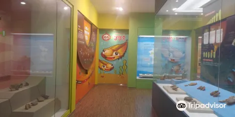 楊口史前博物館