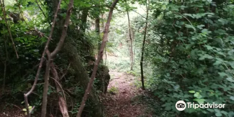 Grotta di Bocca Lorenza