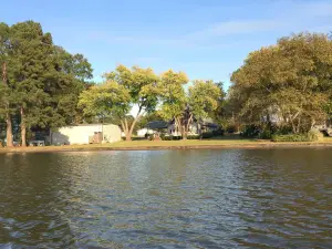 Neely Henry Lake