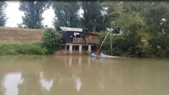 The Danube Wetlands