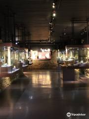 Nyon Roman Museum
