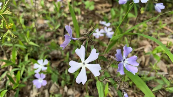 Hubbard Valley Park