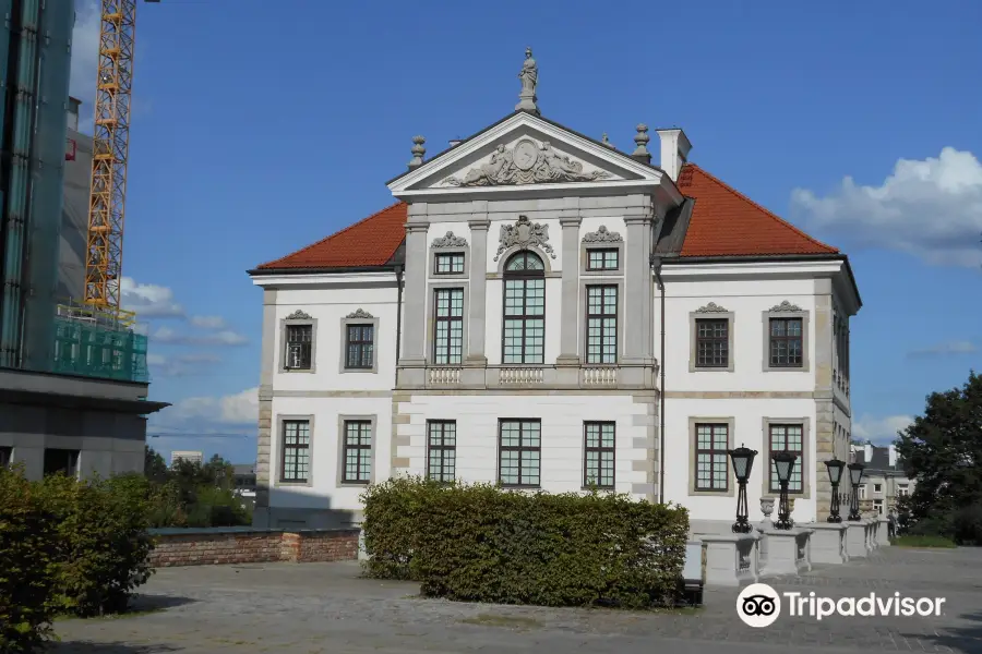 Ostrogski Castle (Palac Ostrogskich)