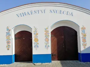 Cellars Plže