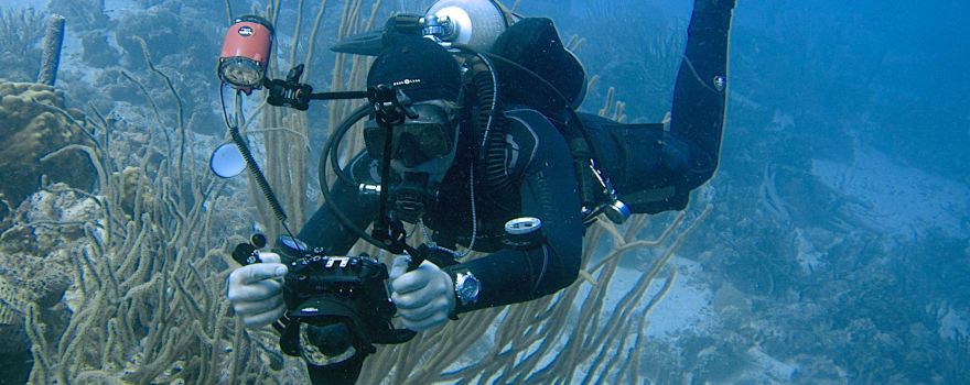 Diving Blues