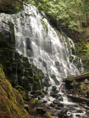 Ramona Falls Trail