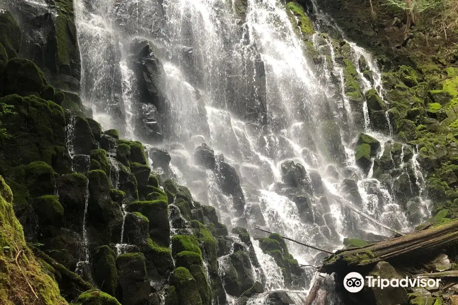 Ramona Falls Trailhead