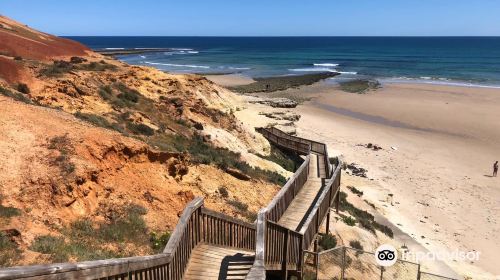 Port Noarlunga Reef