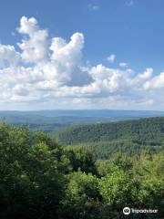 Draper Valley Overlook