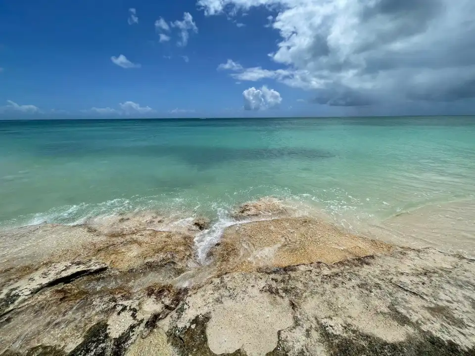 2_Low Bay