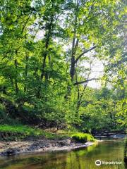 Big Brook Nature Preserve