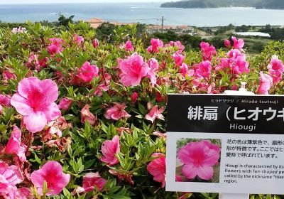 Higashi