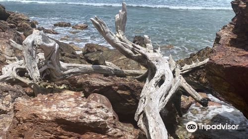 Beach at Genti Bay