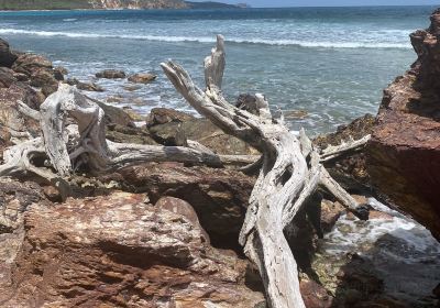 Beach at Genti Bay