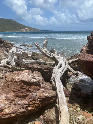 Beach at Genti Bay