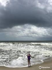 Fort Fisher State Recreation Area