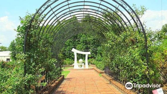 Wilson Rose Garden