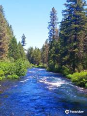 Wizard Falls Fish Hatchery