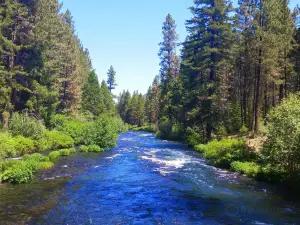 Wizard Falls Fish Hatchery