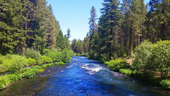 Wizard Falls Fish Hatchery