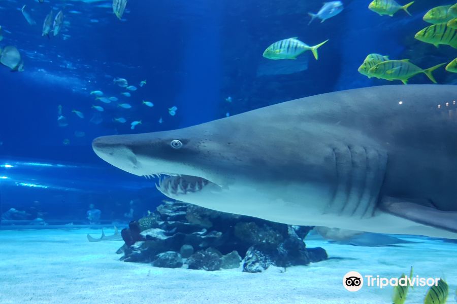 布達佩斯熱帶植物和水族館
