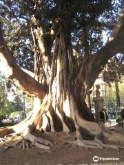 Jardines De La Glorieta