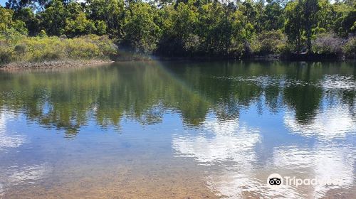 Greenbushes Pool