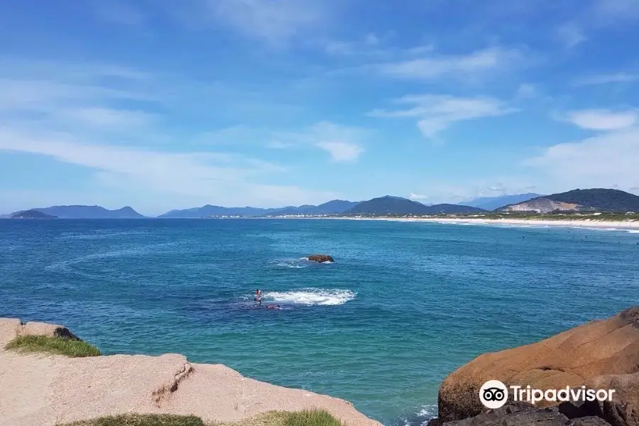 Joaquina Beach