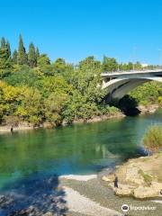 Blazo Jovanovic Bridge