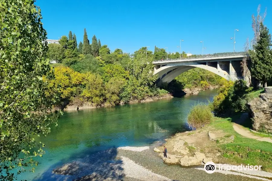 Blazo Jovanovic Bridge