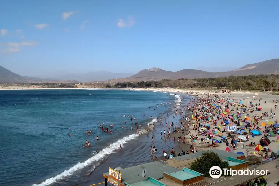 Playa Pichidangui