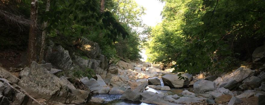 Scott’s Run Nature Preserve