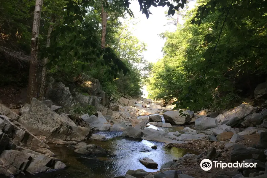 Scott’s Run Nature Preserve