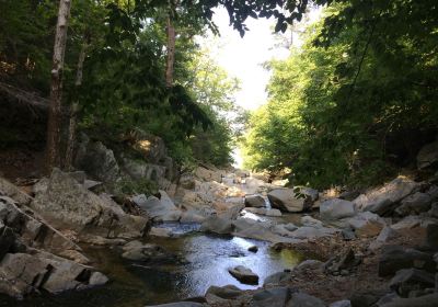 Scott's Run Nature Preserve