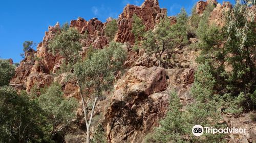 Warren Gorge