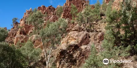Warren Gorge