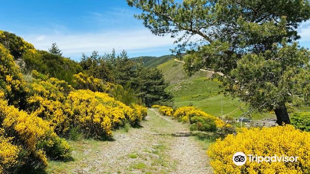 Observatoire Aigoual