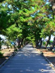 Miho Shrine