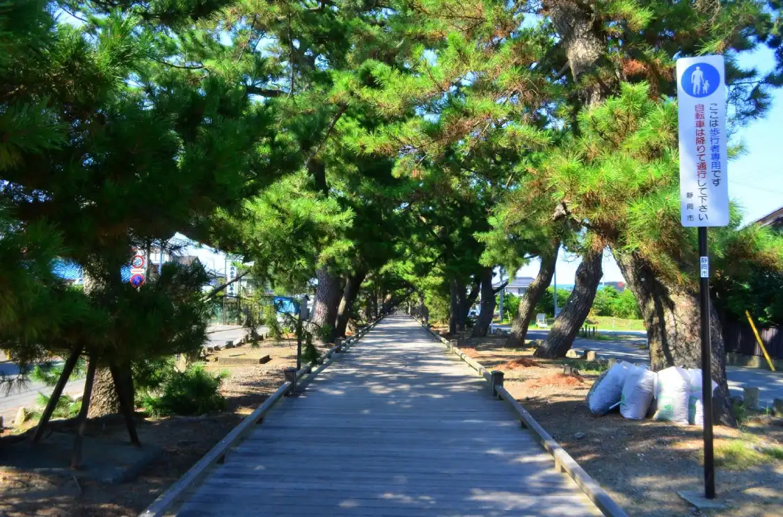 โรงแรมใกล้Miho Shrine