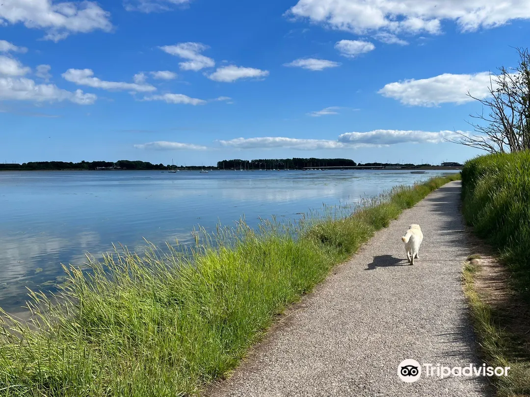 4_Langstone Harbour
