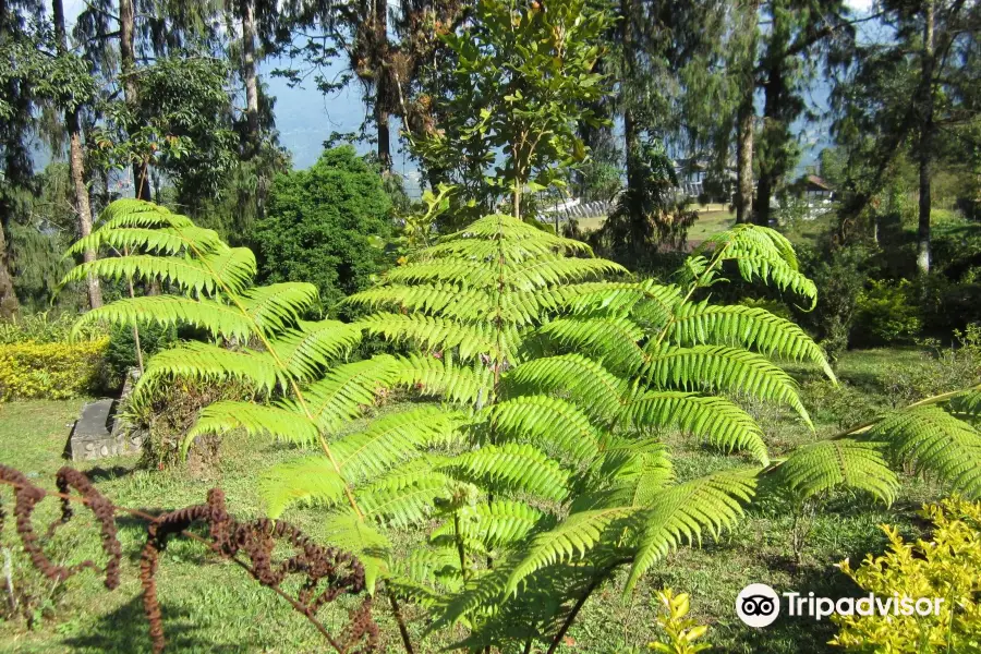 Jawaharlal Nehru Botanical Garden