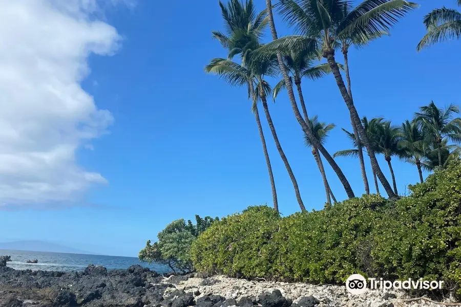 Palauea Beach