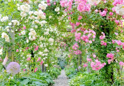 AKAO Herb And Rose Garden