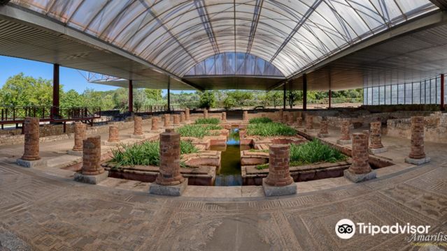 Roman Ruins and Museum of Conimbriga