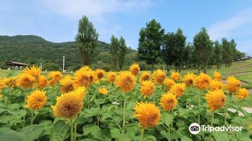 Akashi Kaikyo National Government Park