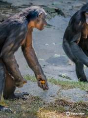 沃思堡動物園