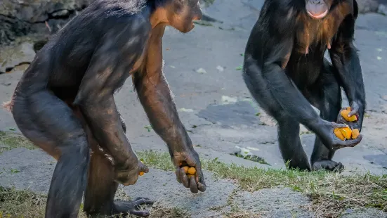 沃思堡動物園